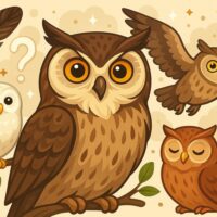 26 интересных фактов о совах